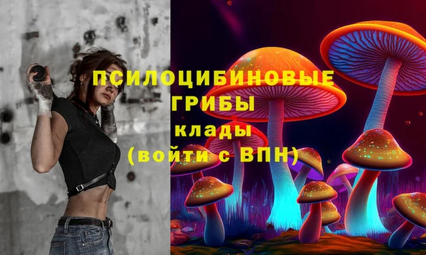не бодяженный Аркадак