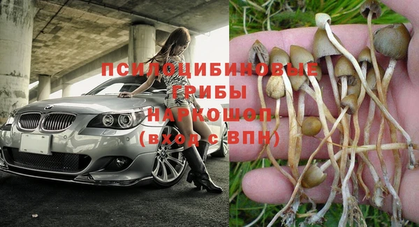 твердый Зеленокумск