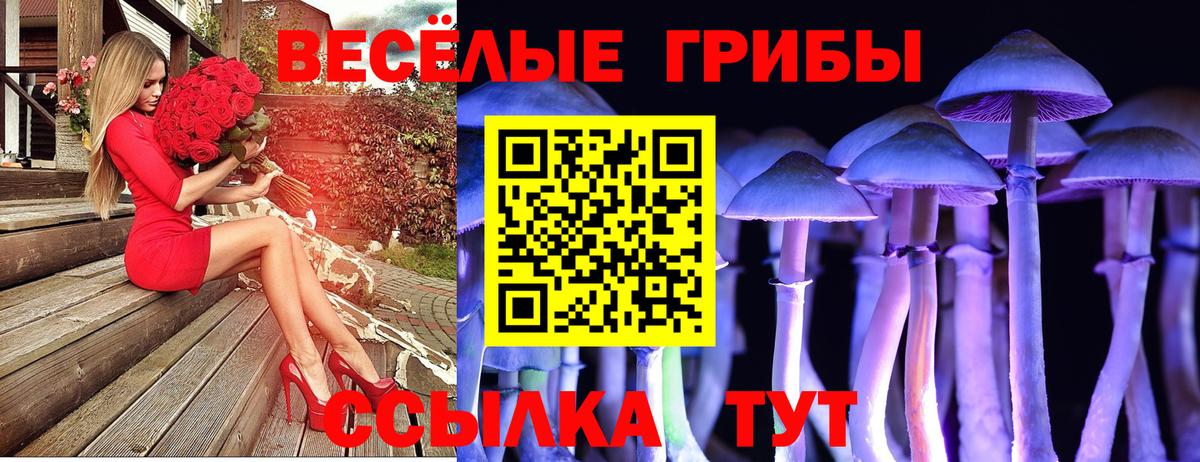 Галлюциногенные грибы Psilocybine cubensis  Вход с VPN  где можно купить   Дзержинск  Галлюциногенные грибы Cubensis 