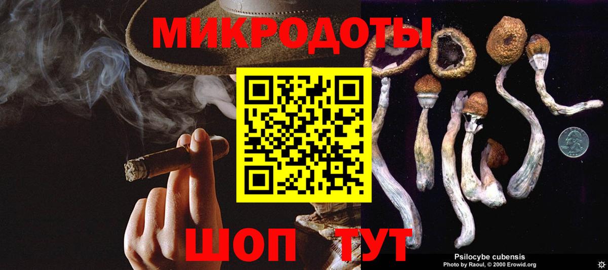 Галлюциногенные грибы Psilocybine cubensis Дзержинск